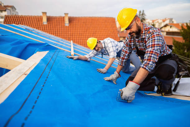 Best Flat Roof Repair Services  in River Park, FL